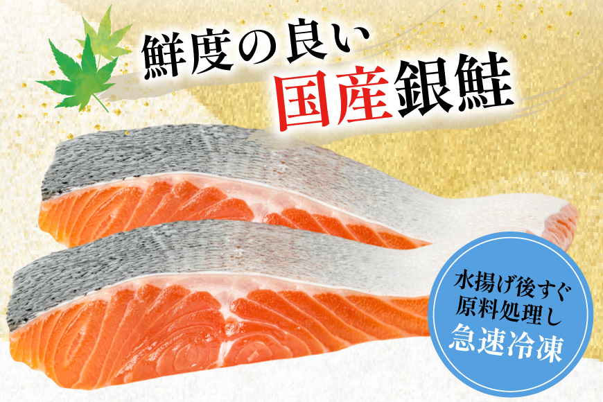 訳あり 国産 減塩 厚切り 塩銀鮭 切身 計 3kg [足利本店 宮城県 気仙沼市 20565398] サーモン 鮭 さけ サケ シャケ 魚 海鮮 魚介 甘塩味 規格外 不揃い 鮭切身 切り身 簡易包装 家庭用 訳アリ 冷凍 塩分控えめ 無添加
