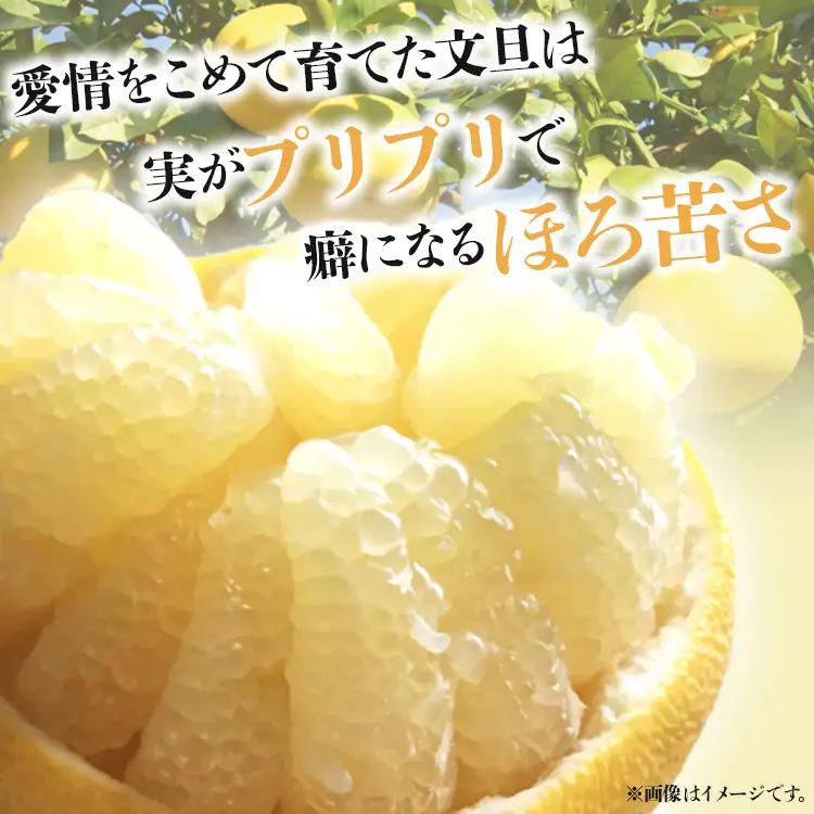 文旦とみかんのプチBOX 約3kg - 果物 くだもの フルーツ 柑橘類 ぶんたん ブンタン ミカン 詰め合わせ つめあわせ セット 食べ比べ お楽しみ おいしい 特産品 ms-0088