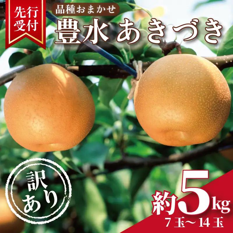 【2026年発送】 訳あり梨 品種おまかせ梨 約5kg