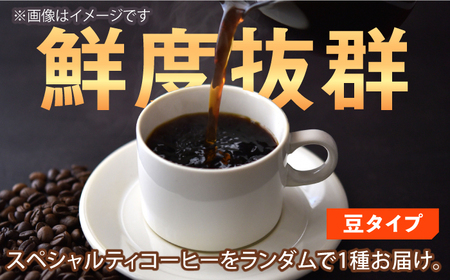 【自家焙煎】コーヒー豆　200g×1 珈琲 珈琲豆 こーひー カフェ スペシャリティ スペシャリティコーヒー 高品質 コーヒー豆 広川町 / KajiCoffee Roastery[AFBJ006]