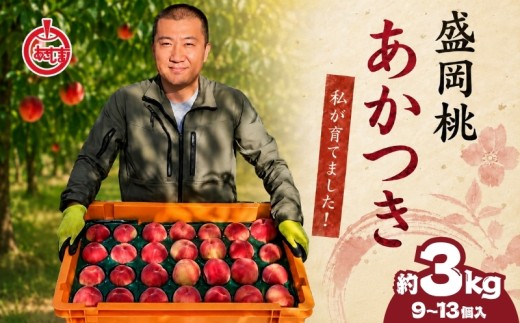 桃 もも 【先行予約】【8月から順次発送】桃 約3kg(9~13個) 朝島観光りんご園［asashima002］ 桃 もも モモ momo 高級 フルーツ 果物 くだもの もも 厳選 国産 新鮮 桃 産地直送 桃 おすすめ 人気 お取り寄せ 通販 送料無料 贈答 夏 ギフト 旬 桃 甘い ジューシー 桃 おいしい 桃 あかつき 大玉 桃 ランキング 完熟 高糖度 桃 8月 東北 岩手 盛岡