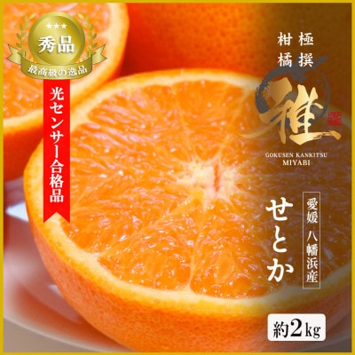 極撰柑橘【雅】光センサー合格品・柑橘の大トロ「 せとか 」約2キロ　【C39−47】【配送不可地域：離島】【1380610】