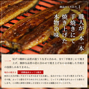うなぎ 国産うなぎ蒲焼きざみセット 蒲焼たれ100ml 1本 うなぎ