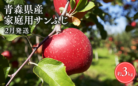 【2月発送】家庭用サンふじ3㎏【丸勝木村商店・青森りんご】[hi-0055-001-2]