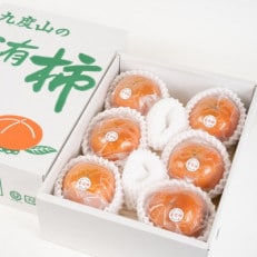 【まごころ栽培】九度山の冷蔵富有柿Lサイズ6玉入り【日高町】