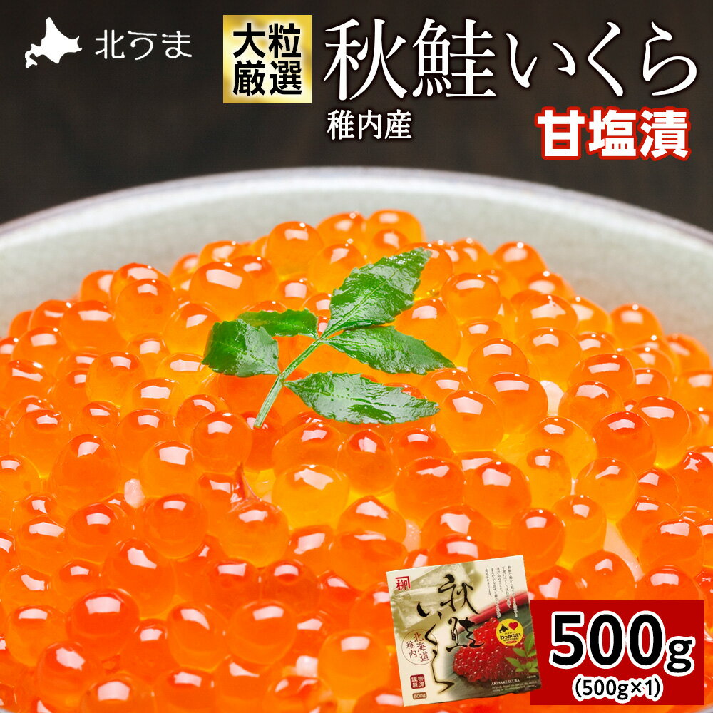 【ふるさと納税】大粒厳選使用 秋鮭いくら 甘塩漬け 500g 海鮮 いくら イクラ 魚卵 海鮮 魚介 秋鮭 甘塩漬け 鮭 便利 500g 北海道 国産 産地直送 送料無料 人気 お取り寄せ おすすめ 稚内 贈答 ギフト 【配送不可地域：離島】