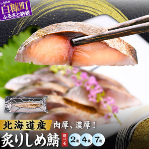 【ふるさと納税】北海道産 炙りしめ鯖 7枚 （お試し小サイズ） ふるさと納税 魚 北海道 〆鯖 しめさば シメサバ 〆サバ ふるさと 鯖 小分け おつまみ 酒の肴 日本酒 酒 魚介 海鮮 冷凍 国産 人気 年末年始 白糠町_A010-1541-30DAYS