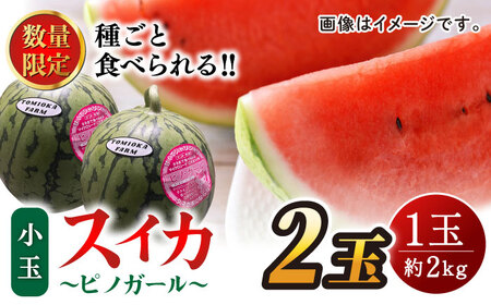 【先行予約】種ごと 食べられる 小玉スイカ 2玉 ピノガール【とみおか農園】[ZEM003]