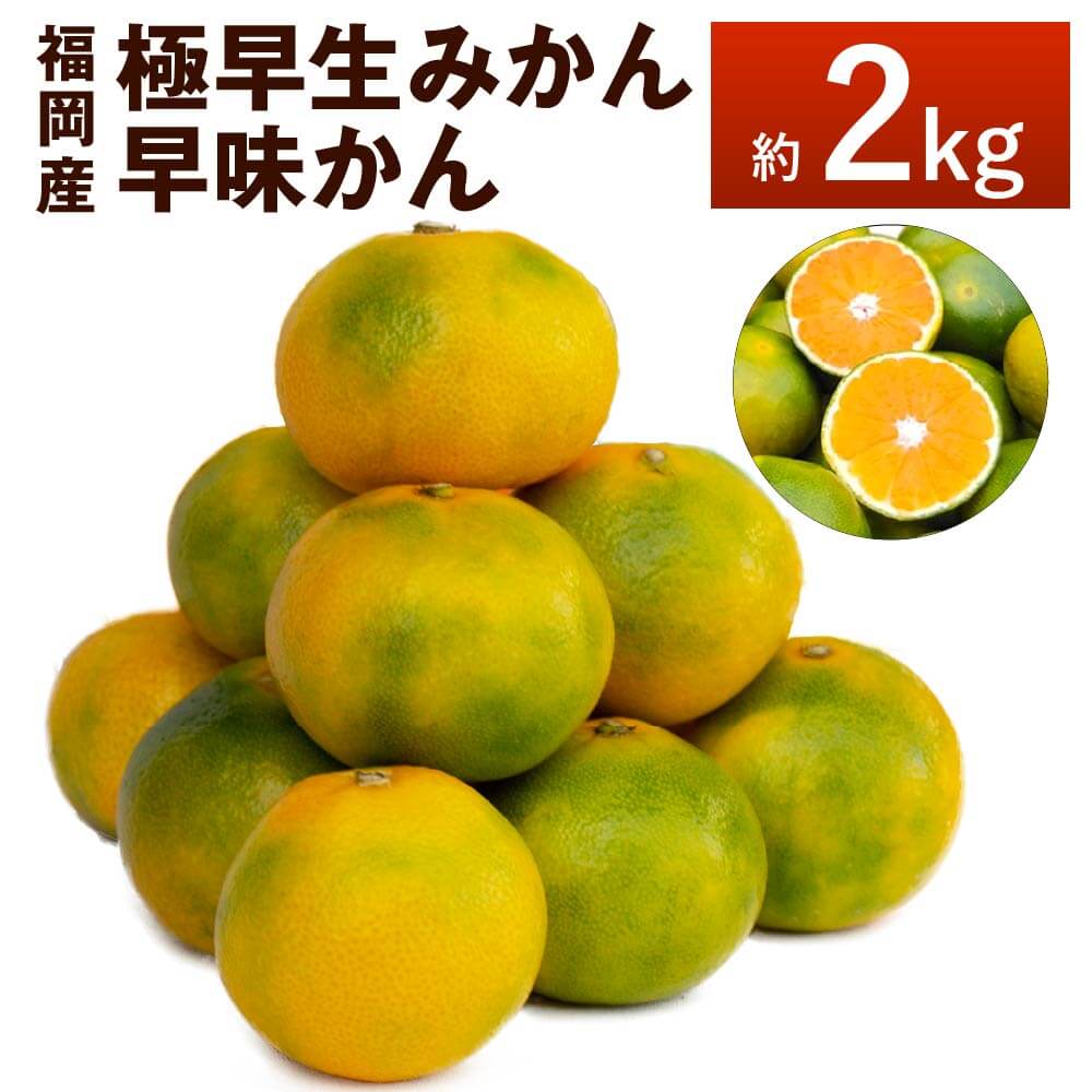 【ふるさと納税】【予約】福岡産 極早生みかん・早味かん 約2kg 【2025年9月上旬～9月下旬発送予定】 みかん ミカン 早生みかん 早味かん 果物 くだもの フルーツ デザート スイーツ 送料無料