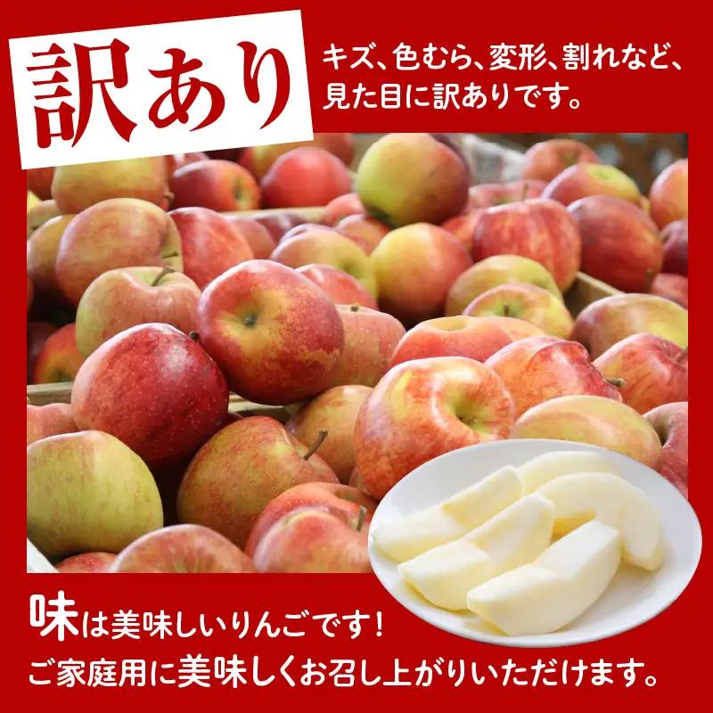 先行予約 令和8年産 訳あり りんご 品種 お任せ 約5kg りんご