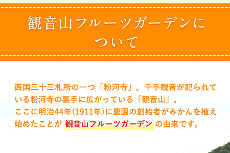 観音山みかん(とろコク一番人気) 4kg 有限会社柑香園《2024年11月中旬-2025年1月下旬頃出荷》和歌山県 紀の川市 フルーツ 果物 柑橘 みかん