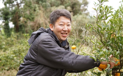 宇城市産 不知火 約8kg（25個前後） ひでみかん 【2025年2月上旬から3月下旬発送予定】 柑橘 果物 くだもの お取り寄せ 熊本県 宇城市