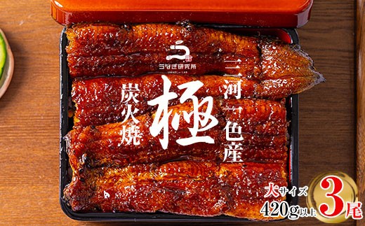 
                  【期間限定】【土用の丑配送対応】三河一色産　うなぎ蒲焼《大3尾(計420g以上)》【土用の丑】・R006-22-c0
                