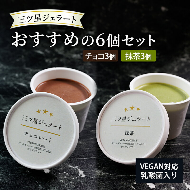 【ふるさと納税】世界中の人たちが食べられる！VEGAN対応乳酸菌入り「三ツ星ジェラート」おすすめの6個セット（チョコ×3、抹茶×3）ジェラート セット アイス スイーツ 豊島区 東京