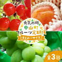 【ふるさと納税】 【2025年先行受付】《定期便3回》元気の郷 中山町フルーツ定期便 ～ほどよいサイズ～ 佐藤錦 秋姫 シャインマスカット さくらんぼ サクランボ 葡萄 ぶどう ブドウ すもも スモモ 山形県産 フルーツ 果物 くだもの F4A-0393