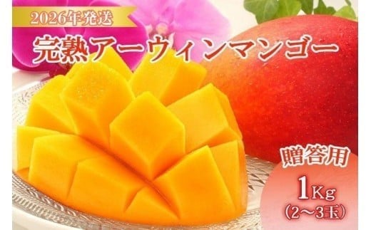
            ＜先行予約2026年発送＞宮古島産“完熟アーウィンマンゴー”《贈答用》1kg【福来多まつばらマンゴー園】（MF01）
          
