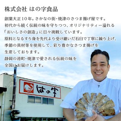 ふるさと納税 焼津市 焼津 産 さつま揚げ セット 900g以上 詰合せ(a10-545) |  | 02