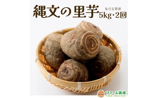 【毎月定期便】富山県小矢部市産「縄文の里芋」5kg全2回【4053309】