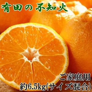 【濃厚】有田の不知火6.5kgご家庭用向け(サイズ混合)(日高町)【1221748】