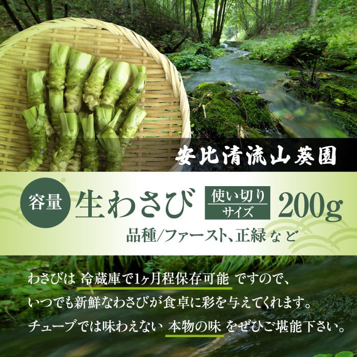 生わさび 使い切りサイズ 200g 【安比清流山葵園】 ／ わさび 山葵 ワサビ 生山葵 生ワサビ 新鮮 薬味 産地直送 国産 岩手県産