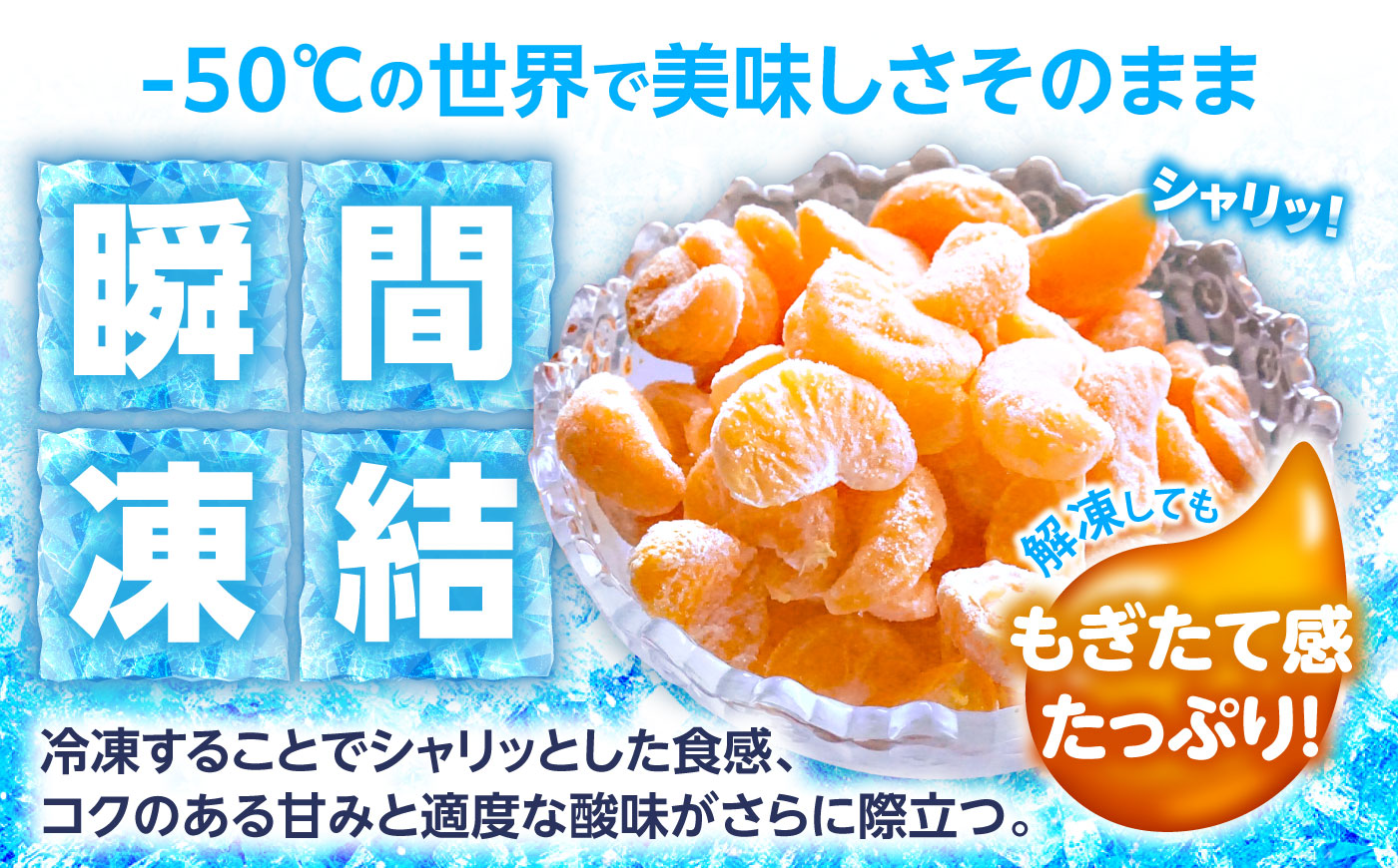 【訳あり】伊木力温州みかんの冷凍みかん 500g×2 / 冷凍ミカン 冷凍みかん レイトウミカン 伊木力温州みかん 伊木力みかん 温州みかん 佐瀬 諫早 多良見 長崎 / 諫早市 / 末永果樹園 [A