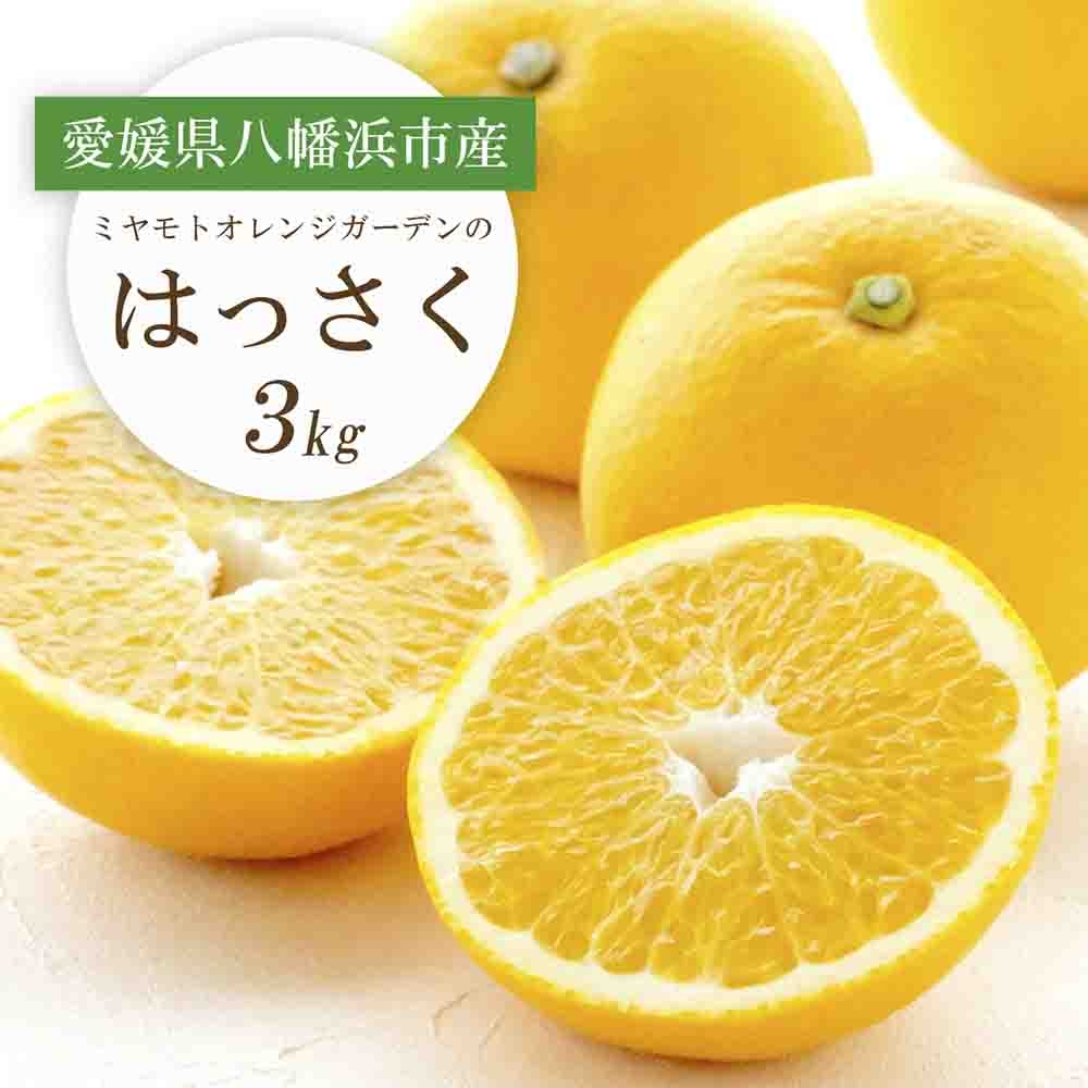 
                  ＜2026年2月以降発送＞ぷりぷり!酸味さわやか 八朔(はっさく)3kg＜C25-187＞【1609975】 YWTAP128
                