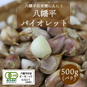 【ふるさと納税】 オーガニック 生にんにく バラ 八幡平バイオレット 500g ／ ニンニク 大蒜 にんにく 生 ガーリック 野菜 薬味 香味野菜 香辛料 国産 料理 調理 油漬け ホイル焼き 500グラム 自宅用 家庭用 産地直送 ばら 岩手県 八幡平市 送料無料 一般社団法人すばる