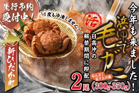 ＜2025年1月中旬から順次発送＞ 北海道産 かに 浜ゆで 毛がに 2尾 計 600g 以上 ＜ 予約商品 ＞ 毛蟹 毛ガニ 北海道 冷蔵 けがに かに味噌 カニ味噌 ボイル 新ひだか町