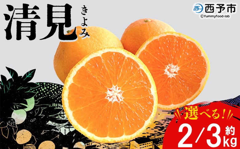 
                  ＜おはこやがつくる 清見 約2/3kg（L～3Lサイズ）＞ 果物 くだもの フルーツ 柑橘 きよみ キヨミ きよみたんごーる 清見タンゴール 蜜柑 ミカン みかん 特産品 西宇和 おはこや 愛媛県 西予市 【常温】
                