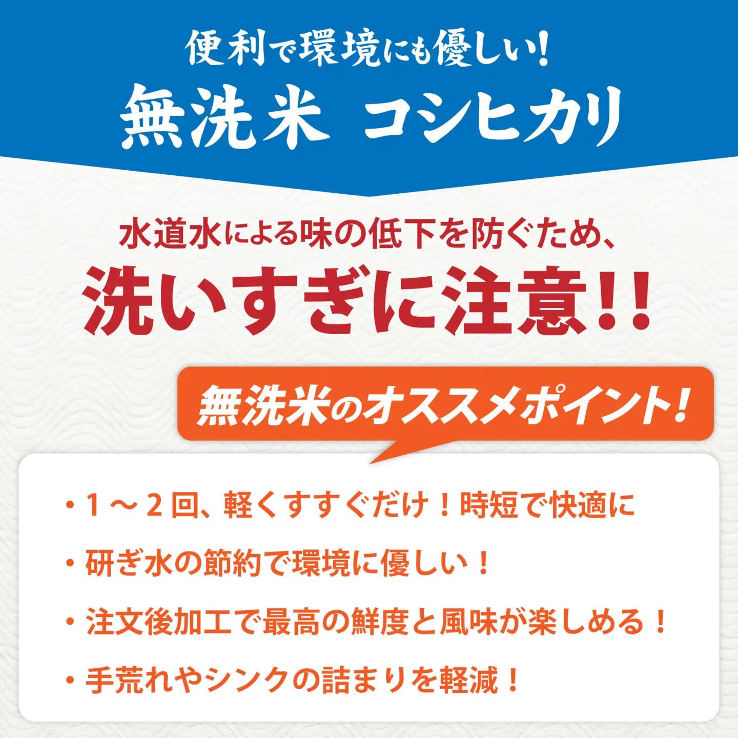 【先行予約】【みやま米】令和8年産  福井市産コシヒカリ10kg/ 天然の山水だけで育てたお米【2026年10月下旬以降順次発送予定】[C-168010] / 無洗米 色彩選別 