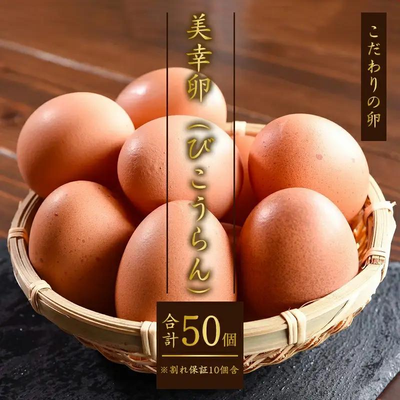 【2026年8月10日頃発送】卵 美幸卵 50個（割れ保証10個含む）※配送不可 沖縄・離島 たまご 玉子 山形 板垣養鶏場　013-G-BK006-08