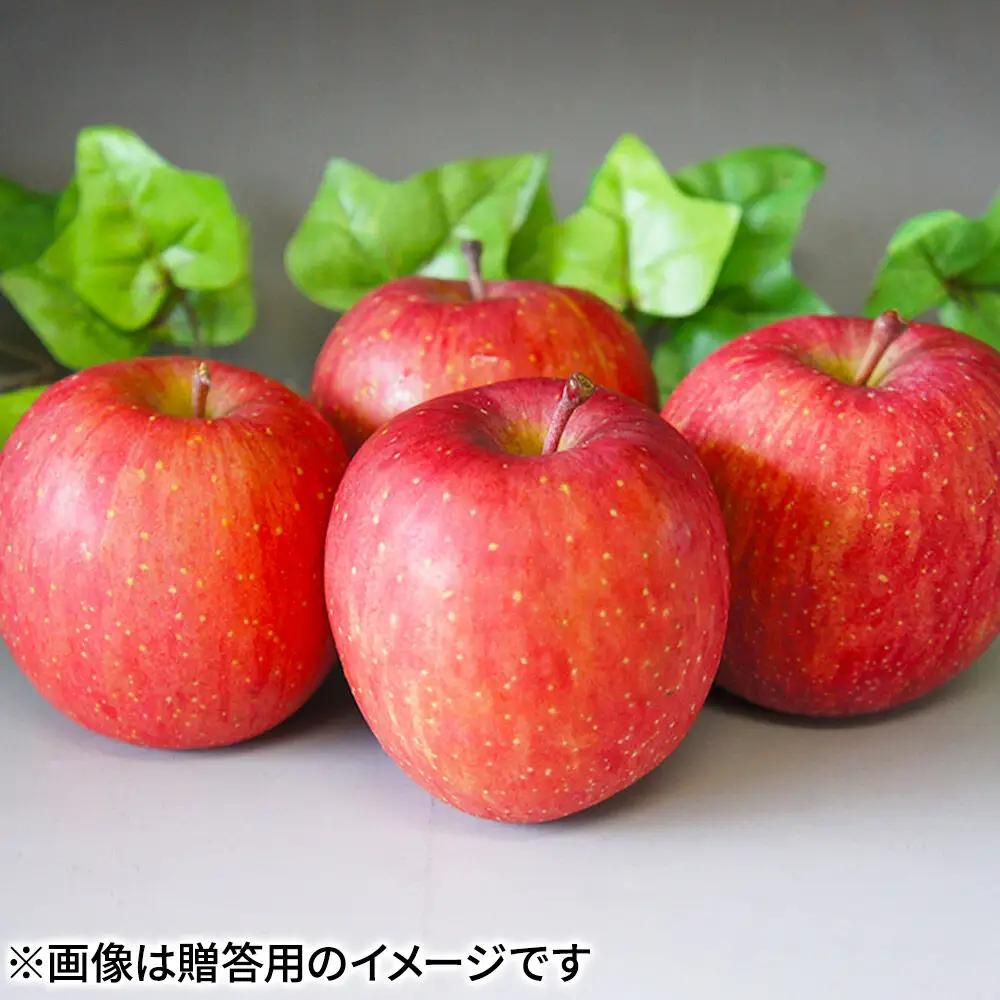 りんご サンふじ 贈答用 約5kg【26年12月発送】りんご