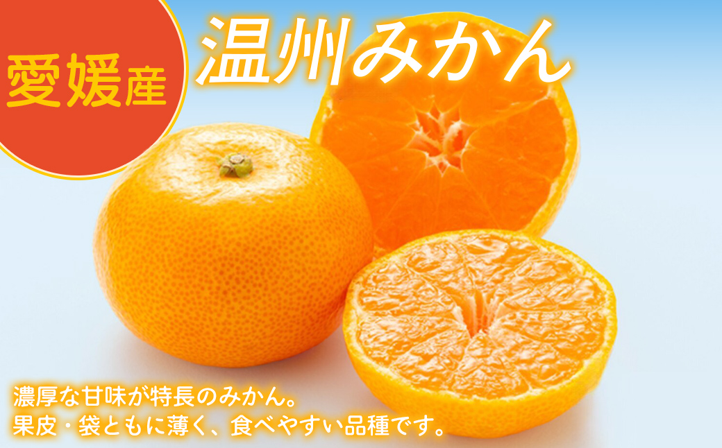 【定期便】Premiumみかんジュース（2本セット）全2回※北海道・沖縄・離島への配送不可【 ふるさと納税 人気 おすすめ ランキング 柑橘 みかん ミカン フルーツ ジュース みかんジュース ミカン