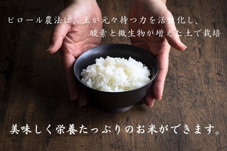 【令和6年新米】こだわりのピロール農法栽培米　ピロール米　夢ごこち5kg （精米）〈数量限定〉