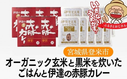 
オーガニック玄米と伊達の赤豚カレー セット（ご飯６個×カレー３個）パックご飯 150g レトルト食品 レトルトカレー 玄米 パック 黒米 レトルト レトルトご飯 レトルト食品 カレー ふるさと納税 宮城県 登米市
