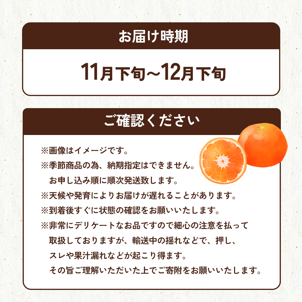 金時紅みかん　約2.5kg化粧箱