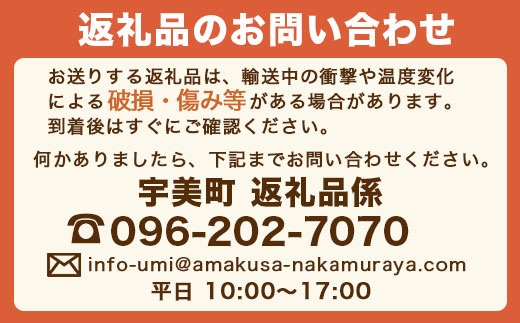 博多味噌もつ鍋 10人前セット　DX017