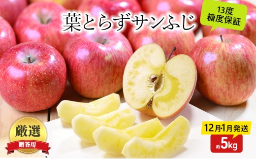 
                  りんご 【12月・1月発送】 蜜入り 糖度13度以上 おもてなし用 家庭用 葉とらず サンふじ 約 5kg 【 青森りんご 】 果物 フルーツ 産地直送 贈り物 年末 年始 挨拶
                