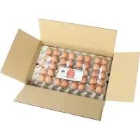 大切な人に食べてほしい卵 10個入×4パック【冷蔵配送】 / 田辺市 卵 たまご 鶏卵 平飼い お取り寄せ 卵かけごはん 和歌山県 【kag001】