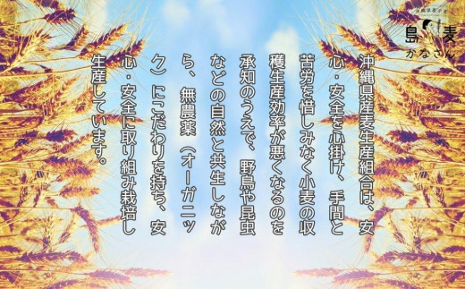 
沖縄県産ブランド小麦「島麦かなさん」セット
