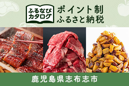 【有効期限なし！後からゆっくり特産品を選べる】鹿児島県志布志市カタログポイント