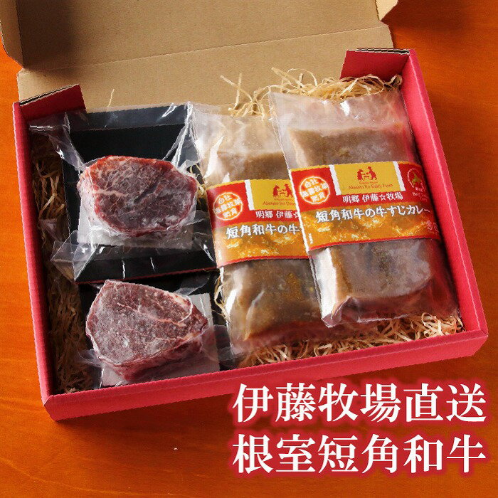 【ふるさと納税】【12月17日決済確定分まで年内配送】 [北海道根室産] 短角和牛ヒレステーキ 150g × 2P、牛すじカレー 2P ビーフステーキ 和牛 牛筋 牛スジ 牛 うし 牛肉 お取り寄せ グルメ 北海道 根室市 ふるさと納税 B-13004