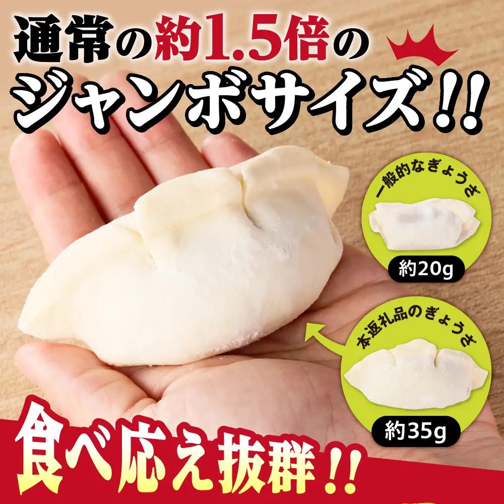 餃子 札幌ジャンボ肉餃子 16個入り×4袋セット