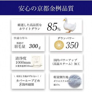 訳あり＜京都金桝＞柄・色 お楽しみ 洗える 肌掛け 羽毛布団 シングル≪ふとん ウォッシャブル ダウンケット 夏用 軽量 日本製 DP350 ホワイトダウン85% ふるさと納税羽毛布団 新生活羽毛布団