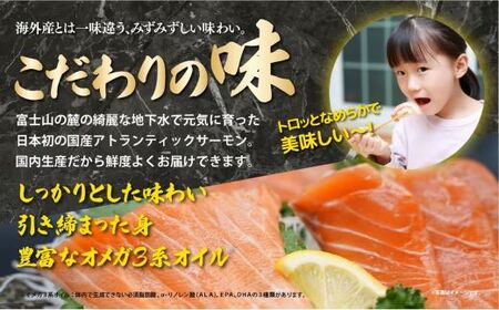 フジ アトランティック サーモン （ 1尾丸ごと 3.0～3.5kg未満 ）  国産 サーモン