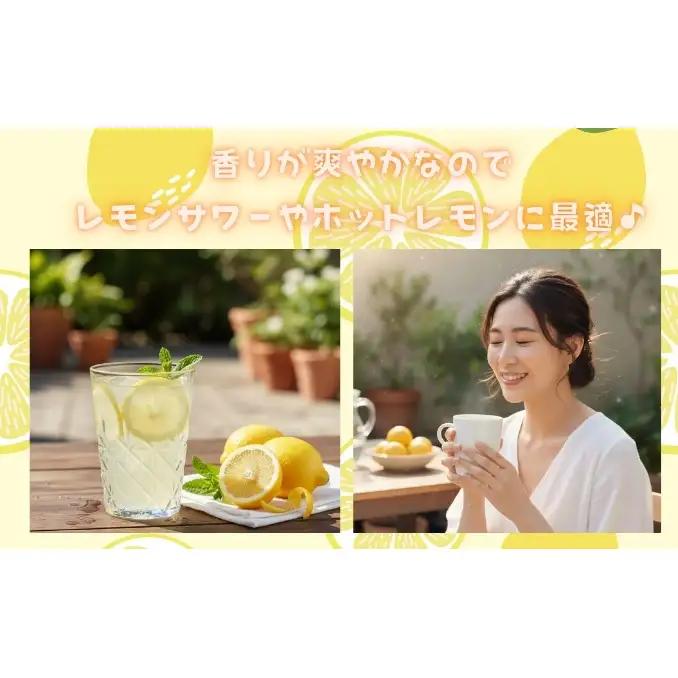 かんきつセット レモン せとか いよかん 愛媛県産 かんきつセット【各約1.5kg 3種】【定期便】