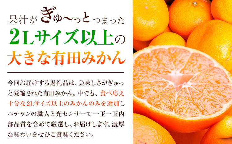 家庭用 おっきな有田みかん 約1kg ＋250g （ 傷み補償分 ）【わけあり・訳あり】【光センサー選果】 池田鹿蔵農園@日高町（池田農園株式会社）《11月中旬-1月下旬頃出荷》日高町【配送不可地域あ