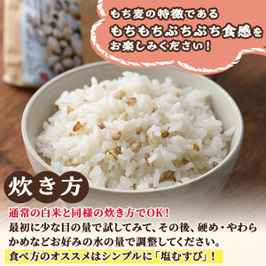 ＜令和5年産＞宮崎県日之影町産もち麦米(900g×5袋) 【AF001】【株式会社ひのかげアグリファーム】