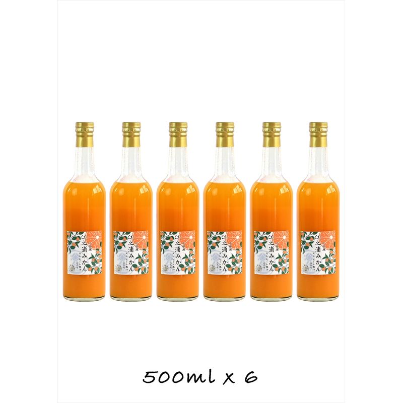 【ふるさと納税】【定期便 （2カ月ごと全3回）】小田原産江之浦みかん100％ストレートジュース500ml6本｜飲料 ストレートジュース 人気 おすすめ 果汁飲料 フルーツドリンク ギフト 定期便 詰め合わせ 送料無料 神奈川県 小田原市