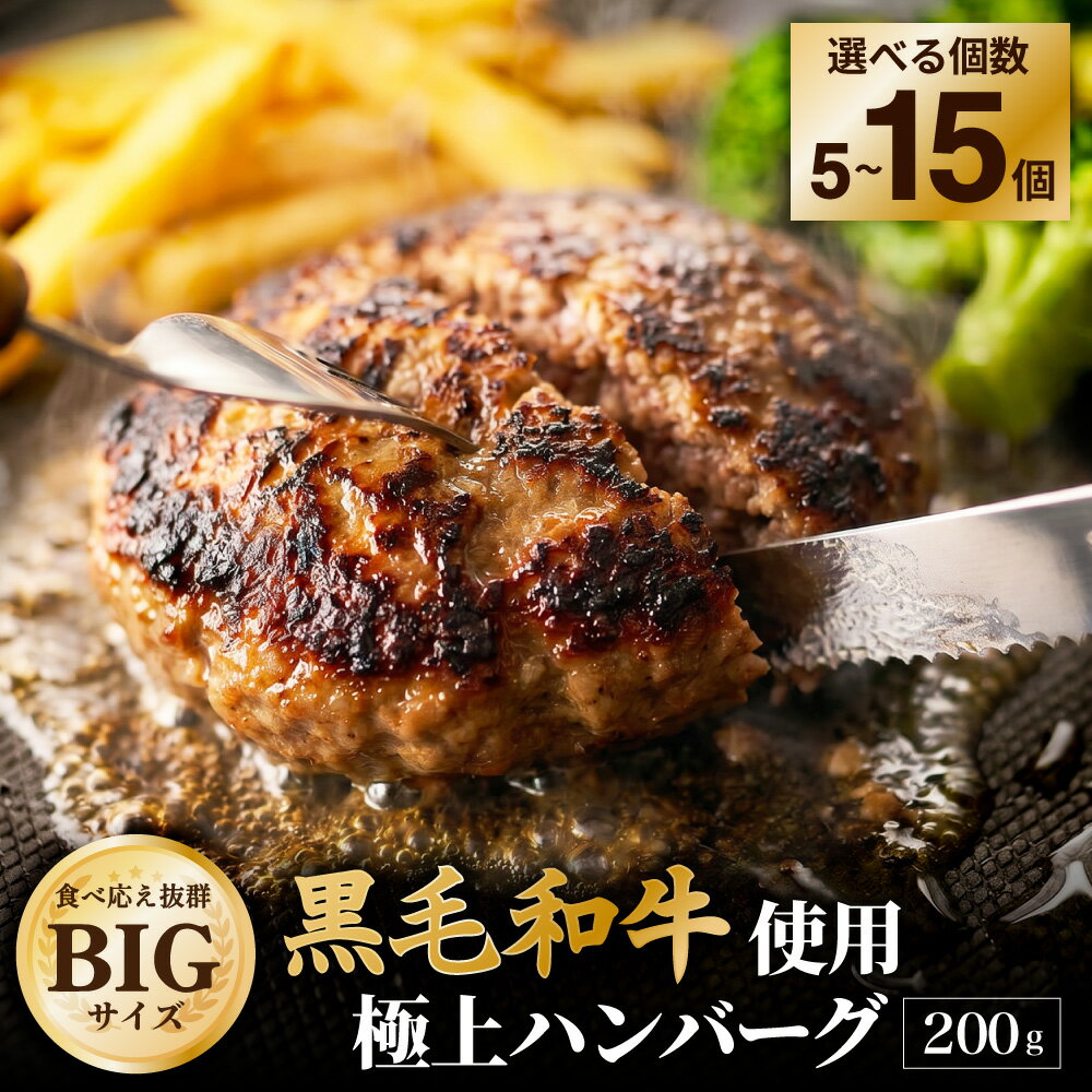 【ふるさと納税】 200gのBIG手作りハンバーグ 黒毛和牛使用！ ＜選べる内容量＞計1kg（5個） / 計2kg（10個） / 計3kg（15個） 黒毛和牛 牛肉 豚肉 牛 お肉 粗挽き 下味済み 超満足サイズ 個包装 ギフト 贈答 国産 冷凍 大阪府 阪南市 送料無料